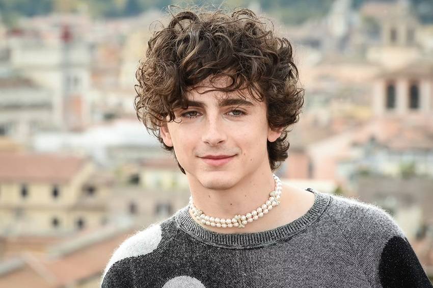 Timothée Chalamet Hairstyle Signature Look